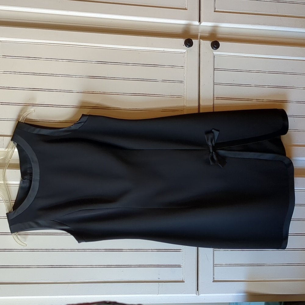 Ann Taylor Dress